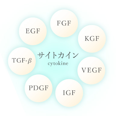 グロッティープロのスカルプケア